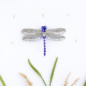 a decorative dragonfly brooch with a blue gemstone, surrounded by various natural elements such as grass, leaves, and small grains of rice.