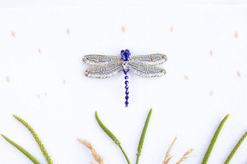 a decorative dragonfly brooch with a blue gemstone, surrounded by various natural elements such as grass, leaves, and small grains of rice.