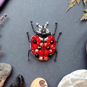 A red ladybug-shaped beaded object is displayed on a gray background, surrounded by various natural elements such as leaves, rocks, and flowers.