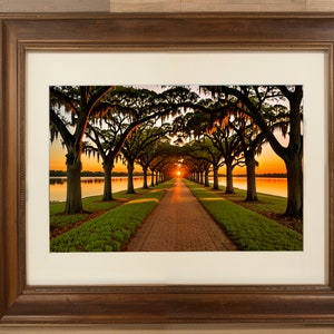 PRINTABLE Scenic Landscape | Spanish Moss Trees Sunset Landscape | Digital Download