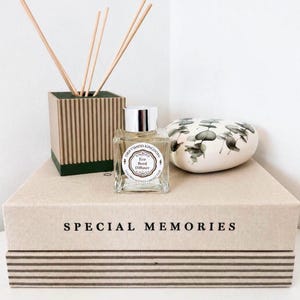 May include: A square reed diffuser with a ribbed beige exterior and dark green base, a clear glass bottle with a silver cap labelled Driftwood Kingdom Eco Reed Diffuser, and a white heart-shaped stone with eucalyptus leaf prints on two stacked books.