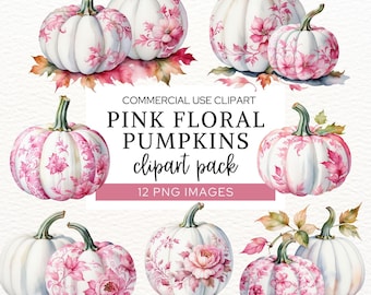 Rosa Blumen Toile Kürbis Clipart, Aquarell Kürbis Grafiken für Thanksgiving Crafts, kleine Kürbis-Babyparty-Kunst, CA12