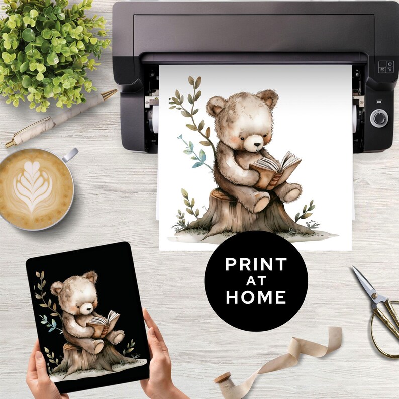 Bear Reading a Book Clipart, Cute Bears PNG, Woodland Nursery Art ...
