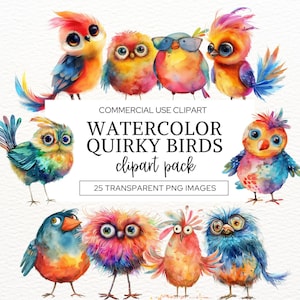 Quirky Birds Clipart, Funny Bird Illustrations, Whimsical Birds, Crazy Bird Clip Art, Kids Cute Bird  Illustrations, Commercial Use Png.