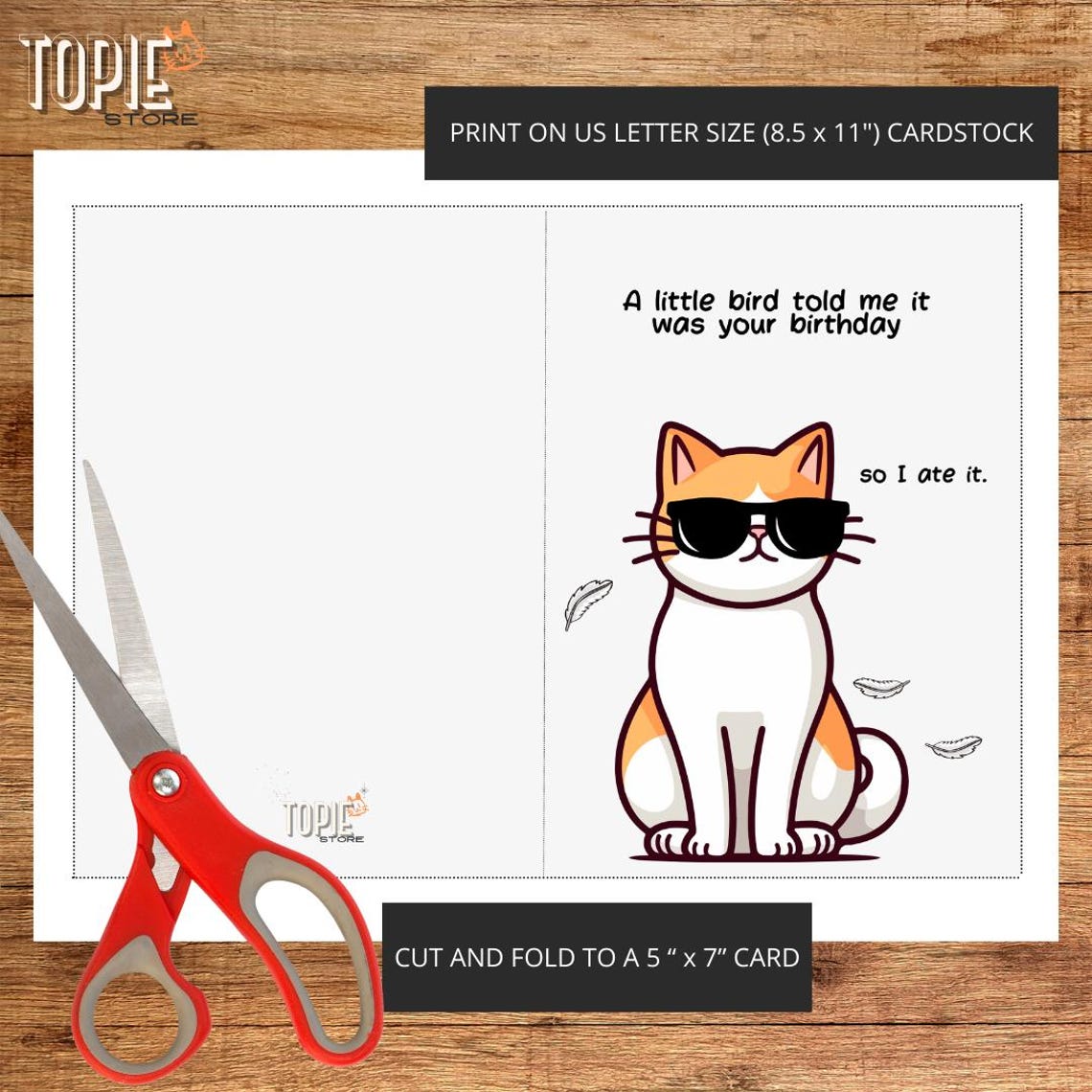 Central 23 – Divertente biglietto di auguri per lei – A Little Birdie…You Were Leaving – Biglietto di congratulazioni sfacciato – Divertente biglietto di lavoro – Biglietti per i colleghi