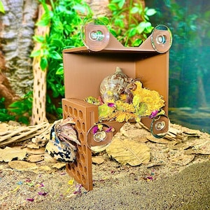 Hermit Crab Viewing Wall Hide –  Foraging Climbing Hideout
