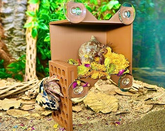 Hermit Crab Viewing Wall Hide –  Foraging Climbing Hideout