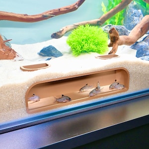Cueva-túnel del acuario: escondite subterráneo para observar peces Corydoras y lochas.