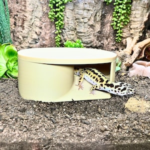 May include: A tan reptile hide with a gecko inside. The gecko has a black and yellow spotted pattern. The hide is a rounded rectangular shape with an opening on one side. The background includes plants and a textured wall.