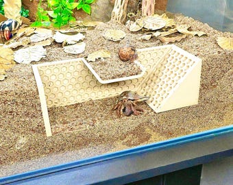 May include: A glass terrarium with a sandy base, designed for hermit crabs. The habitat includes a wooden structure, dried leaves, and artificial plants. Several hermit crabs are visible, creating a naturalistic environment.