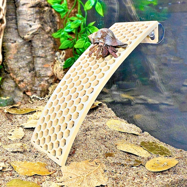 Escalera de cangrejo ermitaño, arco, pared de escalada, decoración de cangrejo ermitaño, juguetes, accesorios para cangrejo ermitaño, suministros, decoraciones, adornos, decoración de pecera para cangrejo ermitaño