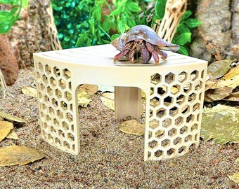 May include: A beige platform with a honeycomb design, holding a hermit crab. The crab has a brown body and a blue and white shell. The platform sits on sand with leaves, against a green backdrop.