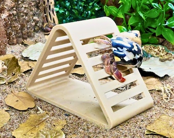 Hermit Crab Climbing Triangle Toy – Ramp Climber