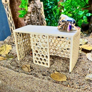 May include: A small, light-colored wooden table with a honeycomb pattern on the sides. A hermit crab with a patterned shell and purple claws sits on top. The table is in a terrarium setting with sand and leaves.