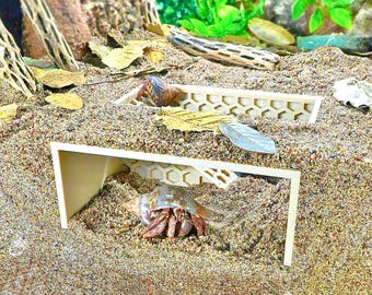 May include: A hermit crab habitat with beige plastic shelters and sand. Two hermit crabs are visible, one inside a shell. The habitat includes natural elements like wood and leaves, creating a naturalistic environment.