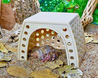 May include: A beige plastic hermit crab hideaway with a domed roof and circular cutouts. A hermit crab with a purple and brown shell rests inside. The hideaway sits on a sandy surface with dried leaves.
