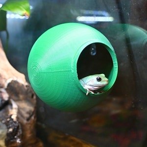 Gecko Frog Ball Cave Hide Amphibian Reptile Tank Enrichment Decor Decoration Crested Leopard Gecko Lizard Tree Frog Cave Terrarium Decor