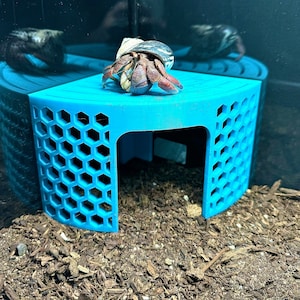 Hermit Crab Climbing Corner Stand Hermit Crab Hide Cave Hermit Crab Tank Decor Toys Supplies Accessories Decorations Ornaments
