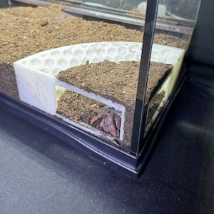 Hermit Crab Tank Decor Corner Underground Hideout Cave Hermit Crab Hide Decoration Hermit Crab Accessories Supplies Toys Ornaments