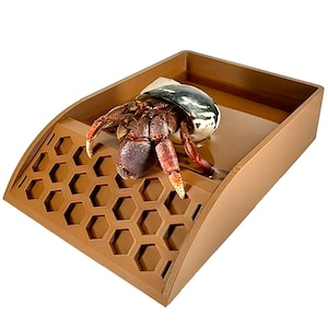 Hermit Crab Pool Decoration Hermit Crab Tank Ornament Toys Hermit Crab Climbing Pools Toy Hermit Crab Decor Accessories