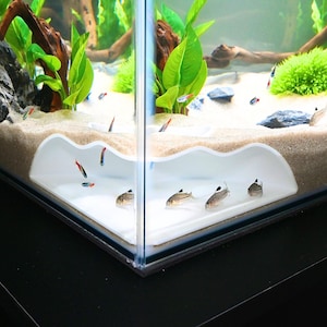 May include: A clear glass aquarium with a white wave-shaped structure at the bottom. Small fish with red, blue, and silver markings swim among plants and sand. The tank is set on a black surface.