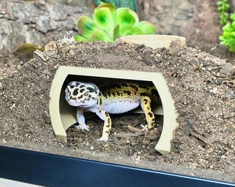 Leopard Gecko Underground Cave – Viewing Gecko and Snake Hide