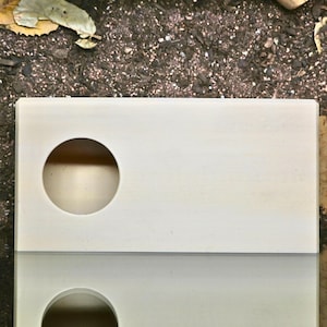 May include: An off-white rectangular ceramic soap dish with a circular hole. The dish has a smooth surface and a slight reflection. The background is dark soil and fallen leaves.