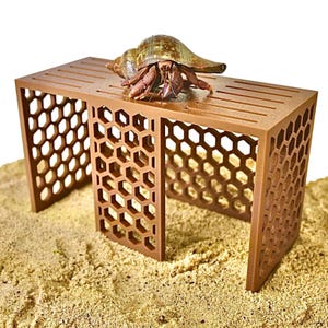 Hermit Crab Climbing Stand, Hermit Crab Hide, Hermit Crab Ornament, Hermit Crab Toys, Hermit Crab Tank Decoration