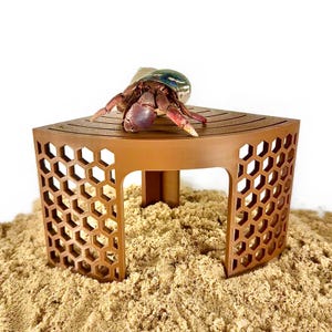 Hermit Crab Climbing Corner Stand Hermit Crab Hide Cave Hermit Crab Tank Decor Toys Supplies Accessories Decorations Ornaments