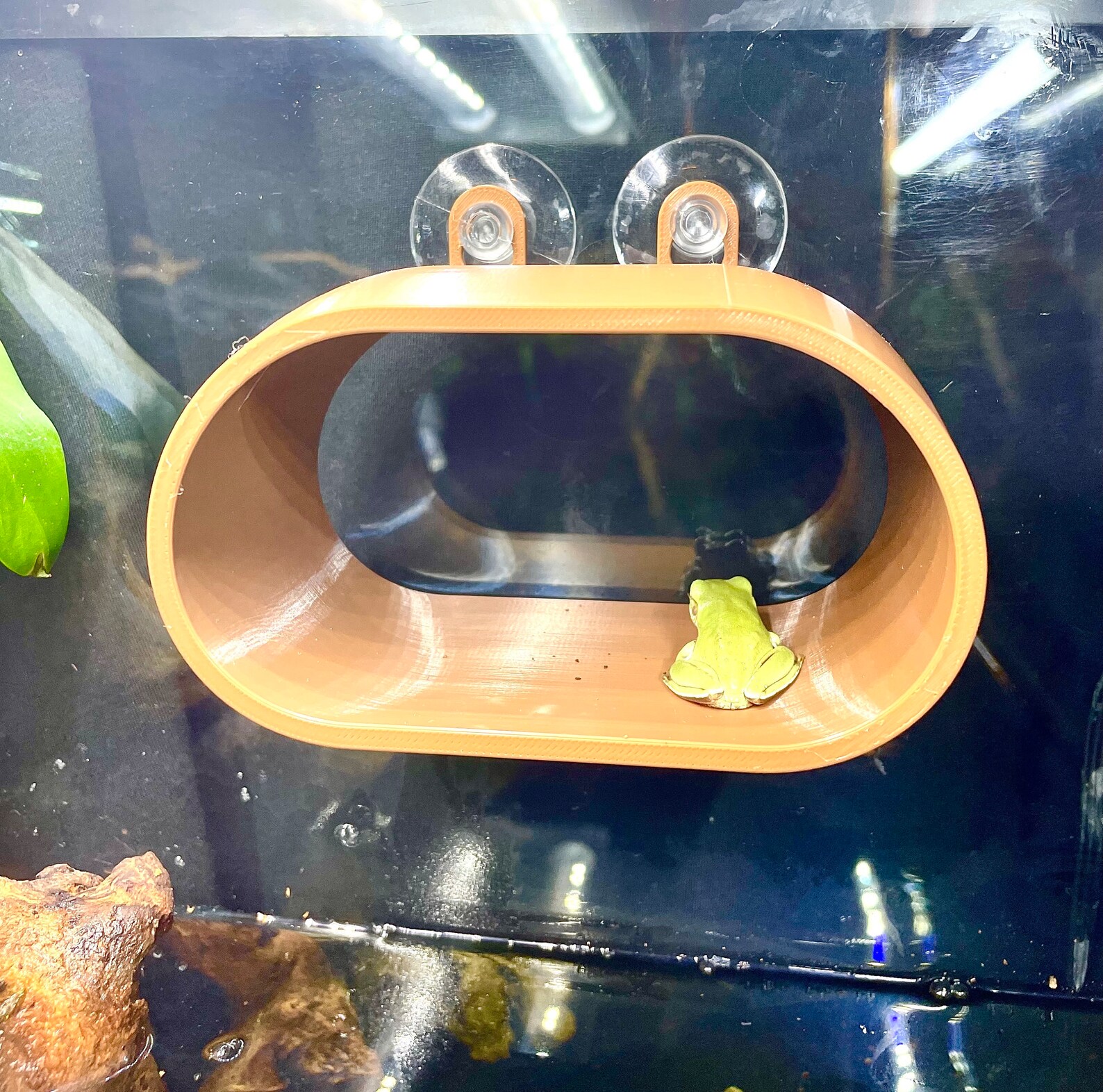 Gecko Frog Hide Hammock Wall Decor Amphibian Reptile Tank Enrichment ...