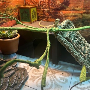 May include: A green leafy plant in a brown pot sits on a black platform with a beige knitted hammock. A lizard is resting in the hammock. The platform is on a tiled floor with white and gray tiles.
