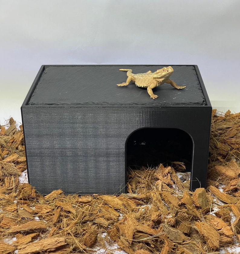 May include: Black reptile hide with a small, light brown lizard on top. The hide has a rounded opening on the side. The hide is sitting on a bed of brown coconut fiber.