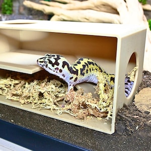 May include: A leopard gecko in a beige reptile hide with a circular entrance. The gecko has a distinctive pattern of black, white, and yellow spots. The hide is filled with dried moss.