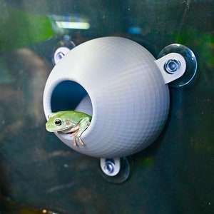 Gecko Frog Wall Dome Cave Hide Amphibian Reptile Tank Enrichment Decor Crested Leopard Gecko Lizard Tree Frog Cave Terrarium Decor