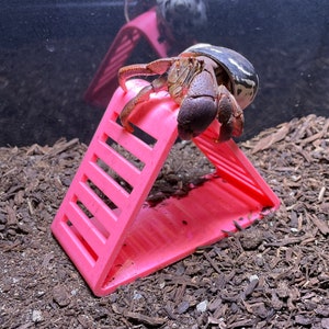 Hermit Crab Climbing Triangle Hermit Crab Tank Decor Decorations Ornament Accessories Hermit Crab Toys