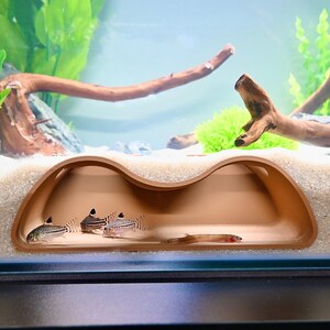 Op de afbeelding: Een aquariumsc&egrave;ne met kleine vissen die zwemmen in de buurt van een bruine, gewelfde schuilplaats. De schuilplaats is een gebogen, grotachtige structuur. De tank bevat ook drijfhout, groene planten en een zandig substraat.