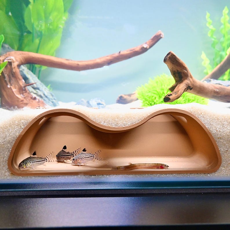 Op de afbeelding: Een aquariumsc&egrave;ne met kleine vissen die zwemmen in de buurt van een bruine, gewelfde schuilplaats. De schuilplaats is een gebogen, grotachtige structuur. De tank bevat ook drijfhout, groene planten en een zandig substraat.