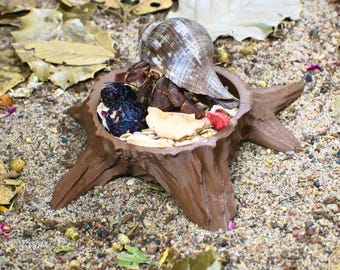 Hermit Crab Food Dish Tree Stump – Natural Feeding Bowl