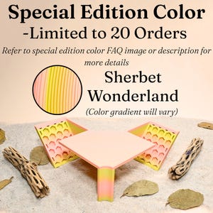 May include: A pink and yellow geometric display stand with the text "Special Edition Color - Limited to 20 Orders" and "Sherbet Wonderland". The stand is on a sandy surface with dried leaves and wood.
