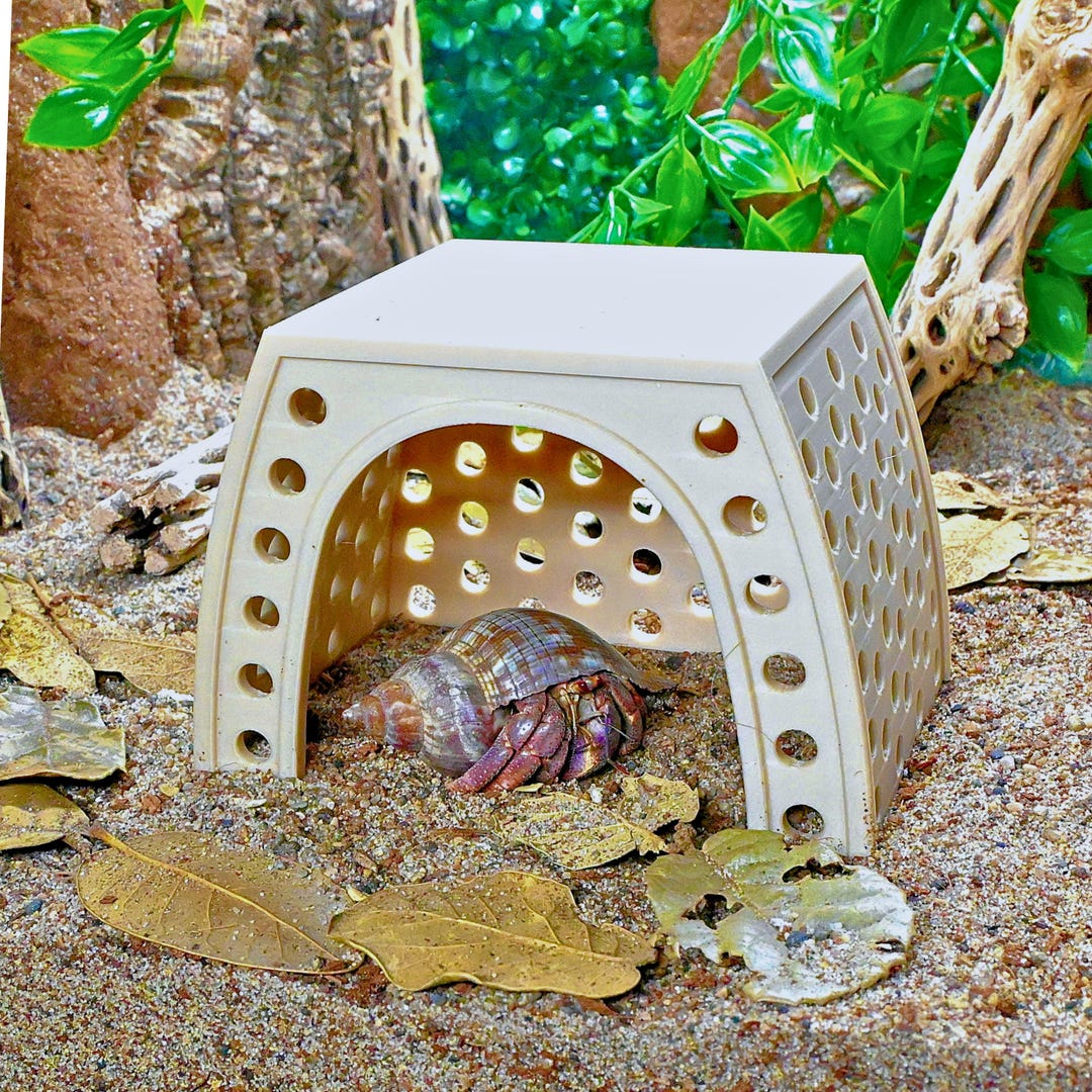 Hermit Crab Climbing Hide – Cave Shelter - Etsy