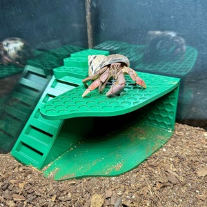 Hermit Crab Climbing Corner Playground Stand Hermit Crab Hide Cave Hermit Crab Tank Decor Toys Supplies Accessories Decorations Ornaments