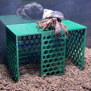 Hermit Crab Climbing Stand, Hermit Crab Hide, Hermit Crab Ornament, Hermit Crab Toys, Hermit Crab Tank Decoration