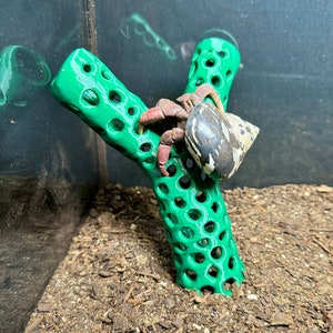 Hermit Crab Decor Climbing Toy Hermit Crab Ladder Hermit Crab Tank Decor Toys Supplies Accessories Decorations Ornaments