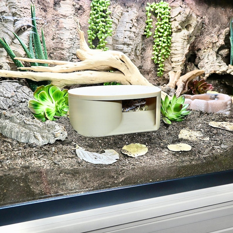 May include: A beige reptile hide with a circular top and a curved opening. The hide is placed in a terrarium with a gecko inside. The terrarium also contains plants, wood, and other decorative elements.