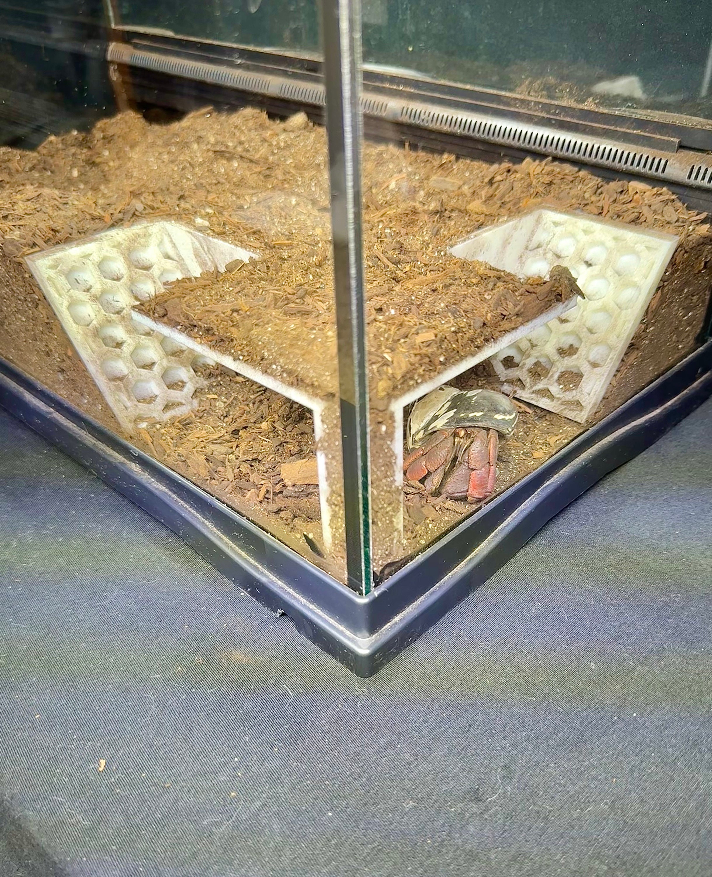 Hermit Crab Tank Decor Underground Corner Climbing Tunnel Hermit Crab Hide Decoration Hermit Crab Accessories Supplies Toys Ornaments