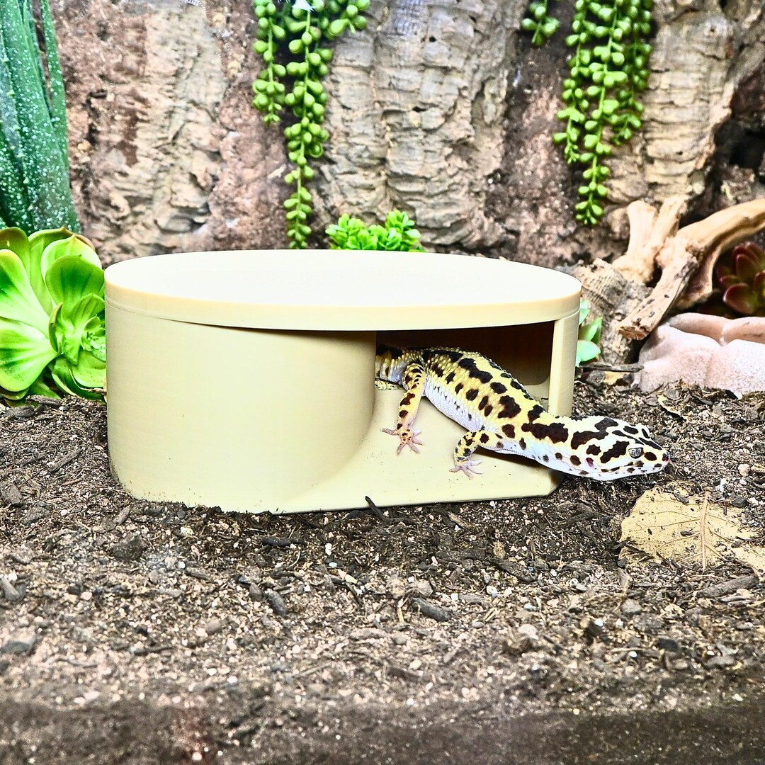 Snake Humid Box Reptile Hide Enclosure Decor Dig Box Lay Box Reptile Tank Enrichment ...