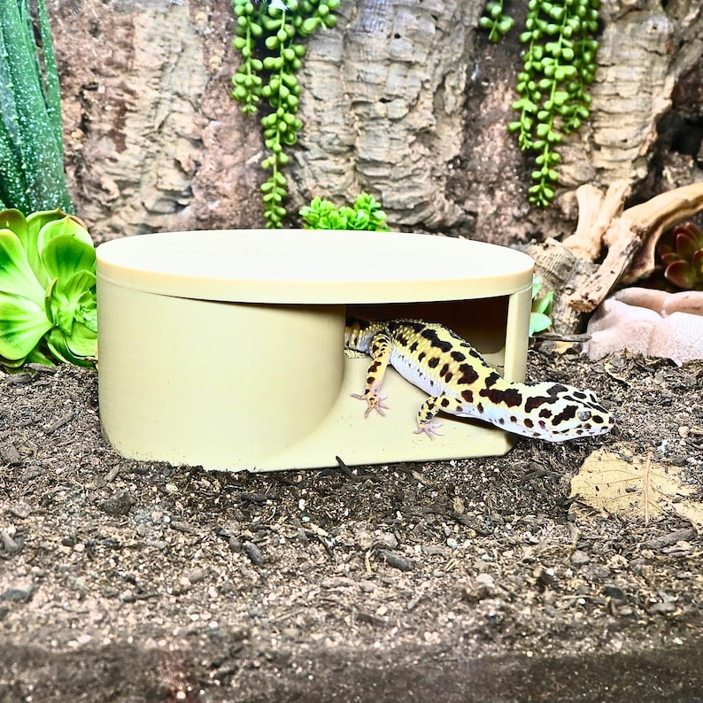 May include: A beige reptile hide with a gecko inside. The gecko has a black and yellow spotted pattern. The hide is a rounded rectangular shape with an opening on one side. The background includes plants and a textured wall.