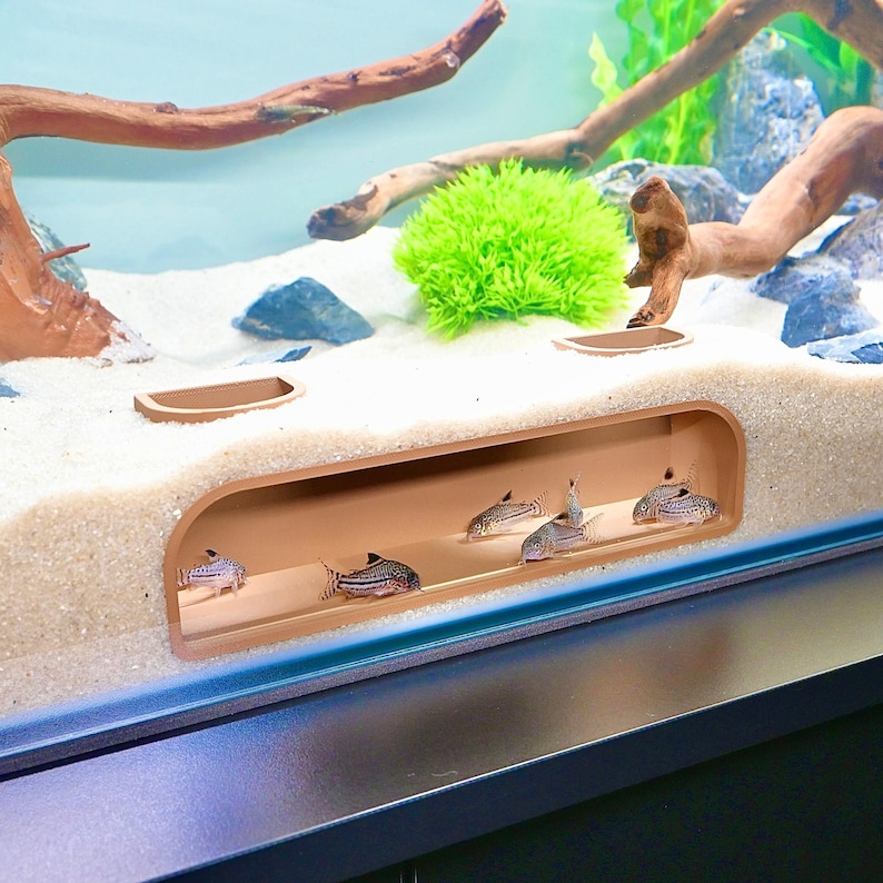 May include: An aquarium scene featuring several small, striped fish swimming in a tank. The tank has a sandy bottom, a brown tunnel-like structure, and decorative driftwood and rocks. A bright green plant adds color.