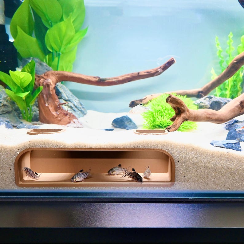 May include: An aquarium scene featuring several small fish with dark stripes and spots. The fish are in a rectangular, recessed area with a sandy substrate. The tank includes driftwood, artificial plants, and a light blue background.