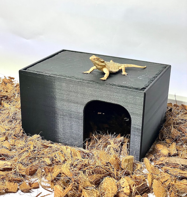May include: Black reptile hide with a small opening for a lizard to enter. A lizard is sitting on top of the hide. The hide is made of wood and has a slate top.